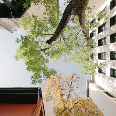Otel Boho - Small Luxury